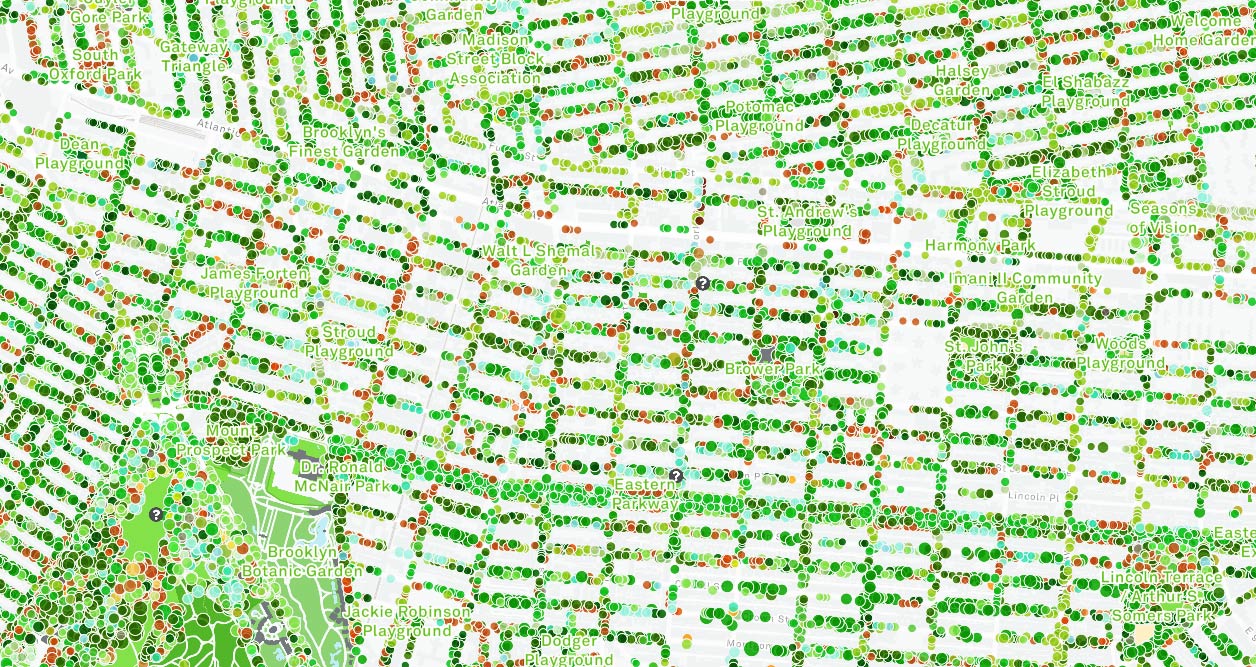 Map with colored dots representing placement of nature along streets