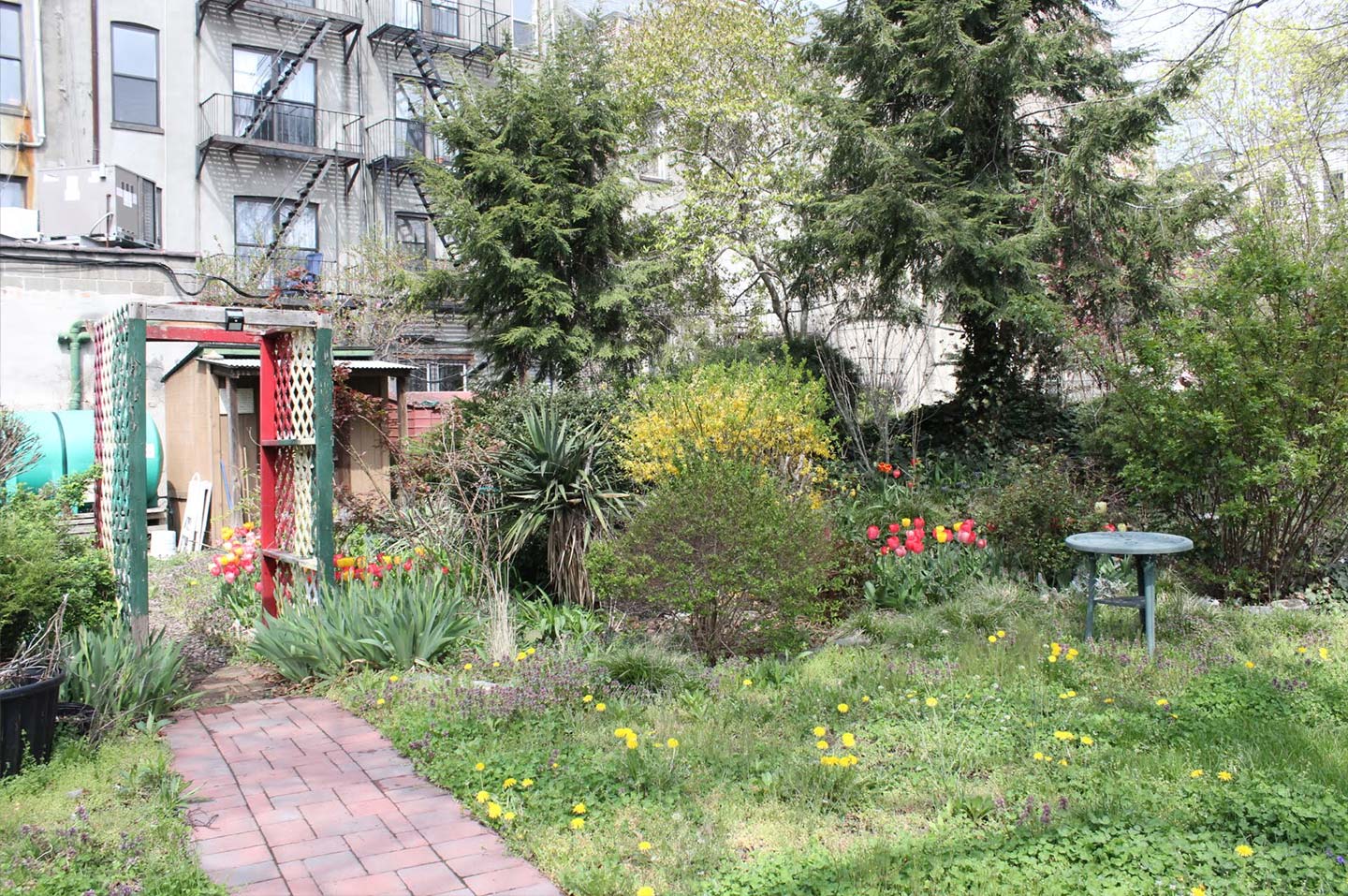 Image of community garden in Brooklyn